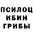 Галлюциногенные грибы Psilocybe BEKBOLOT Don