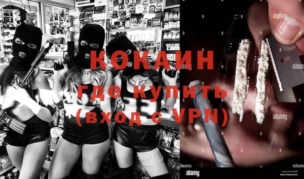 индика Михайловка