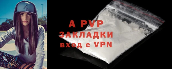 индика Михайловка