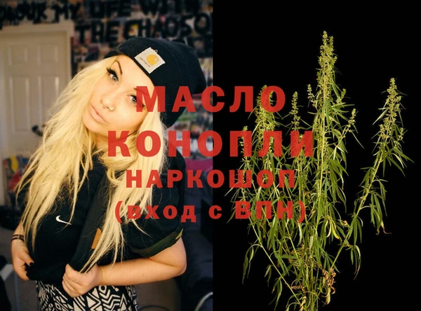 индика Михайловка