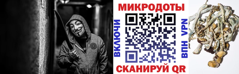 Купить закладки  Каргополь  Галлюциногенные грибы ЛСД 